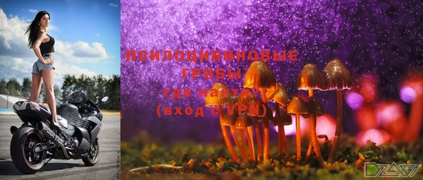 метадон Няндома