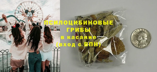 прущий лед Алексин