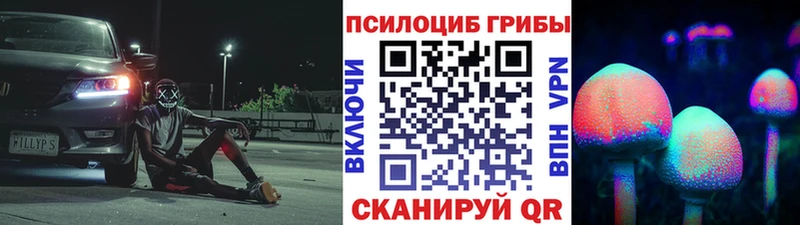 Галлюциногенные грибы Psilocybe  Цимлянск 
