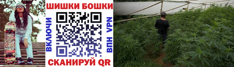 Бошки марихуана тримм  где продают наркотики  Цимлянск 
